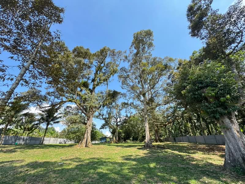 Agricultural Land for Sale in Kangkar Pulai (Skudai) - Queena Thye - Exterior - PropertyGuru.com.my
