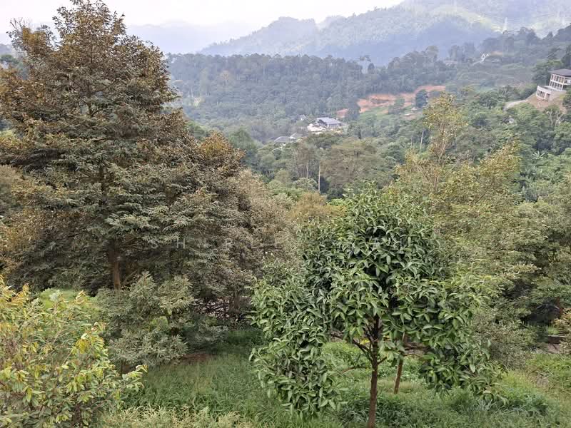 Hotel / Resort untuk Dijual di Janda Baik (Bentong) - Shirley Sai - PropertyGuru.com.my