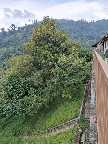 Hotel / Resort untuk Dijual di Janda Baik (Bentong) - Shirley Sai - PropertyGuru.com.my