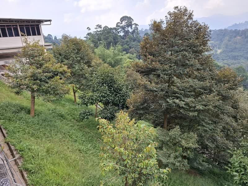 Hotel / Resort untuk Dijual di Janda Baik (Bentong) - Shirley Sai - PropertyGuru.com.my