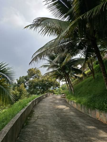 Hotel / Resort untuk Dijual di Janda Baik (Bentong) - Shirley Sai - PropertyGuru.com.my