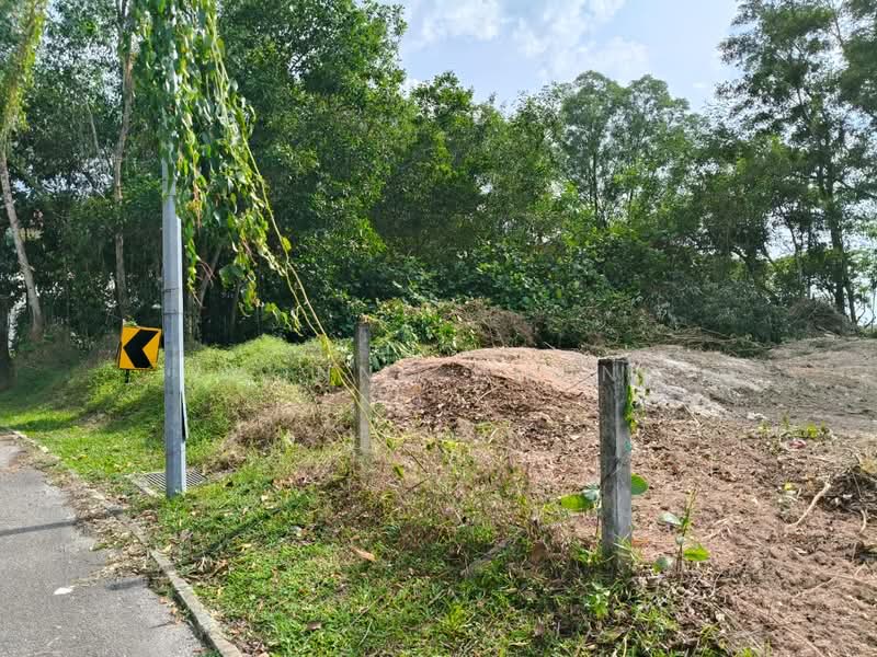 Residential Land for Sale in Iskandar Puteri (Nusajaya) (Johor) - Yvonne Chong - PropertyGuru.com.my
