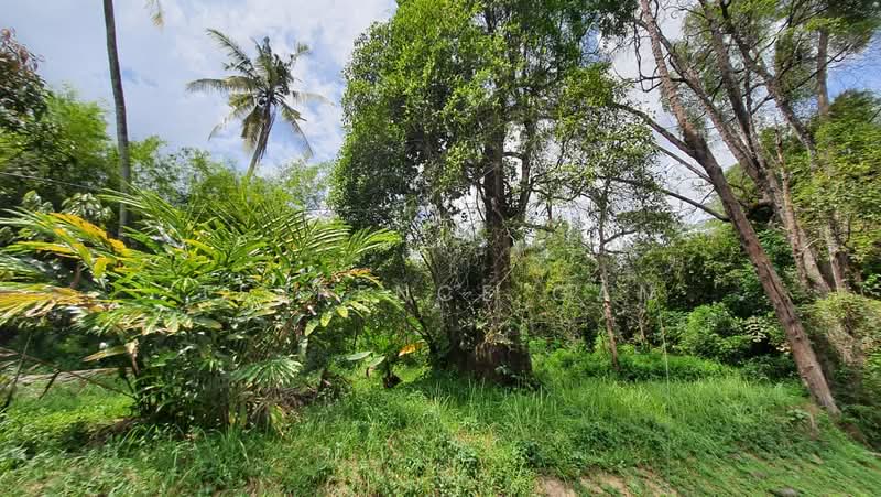Residential Land for Sale in Danga Bay (Johor Bahru) - Terrence Gan - Garden - PropertyGuru.com.my