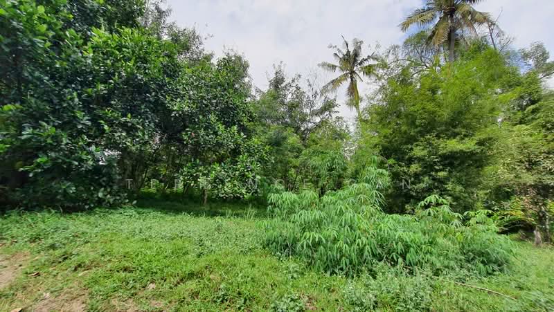 Residential Land for Sale in Danga Bay (Johor Bahru) - Terrence Gan - Garden - PropertyGuru.com.my