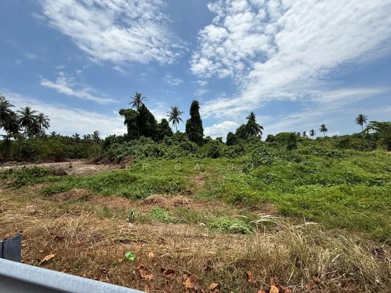 Tanah Pertanian untuk Dijual di Mersing (Johor) - Erica Ho - Exterior - PropertyGuru.com.my