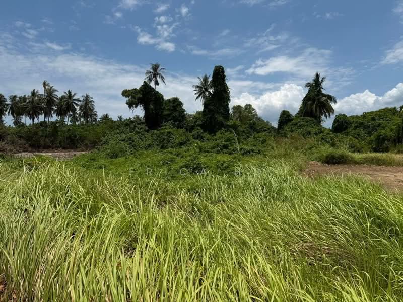 Tanah Pertanian untuk Dijual di Mersing (Johor) - Erica Ho - Exterior - PropertyGuru.com.my