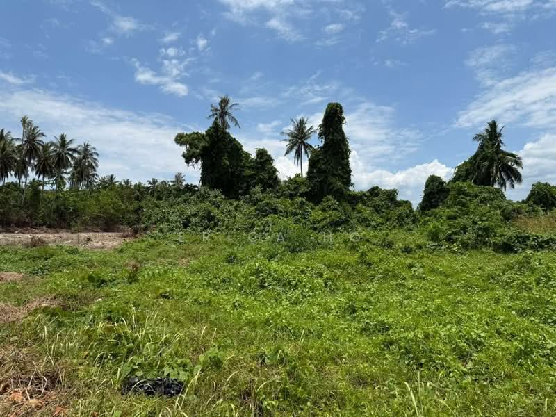 Tanah Pertanian untuk Dijual di Mersing (Johor) - Erica Ho - Exterior - PropertyGuru.com.my