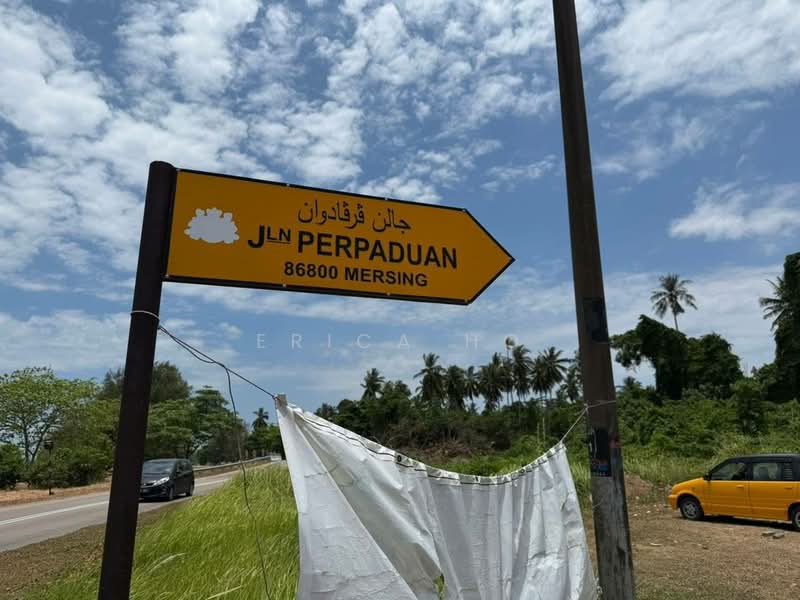 Tanah Pertanian untuk Dijual di Mersing (Johor) - Erica Ho - Exterior - PropertyGuru.com.my