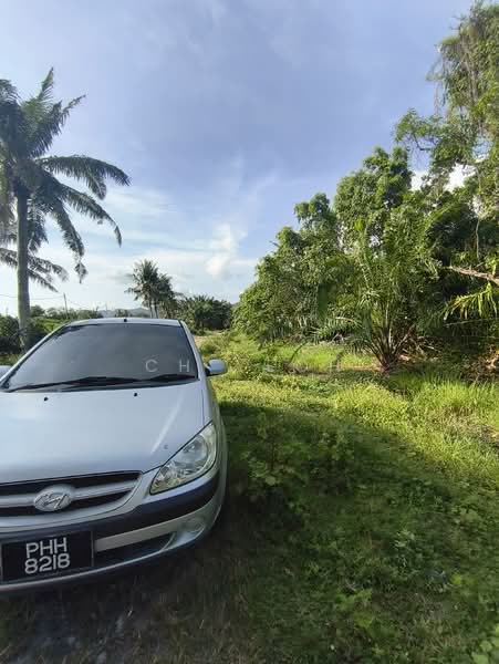 Tanah Pertanian untuk Disewa di Balik Pulau (Penang) - CH Yeoh - PropertyGuru.com.my