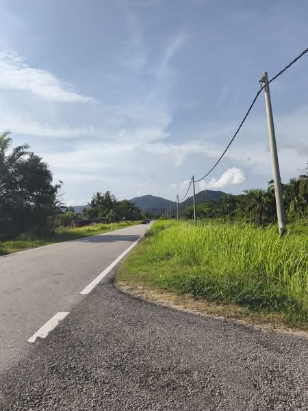 Tanah Pertanian untuk Disewa di Balik Pulau (Penang) - CH Yeoh - PropertyGuru.com.my