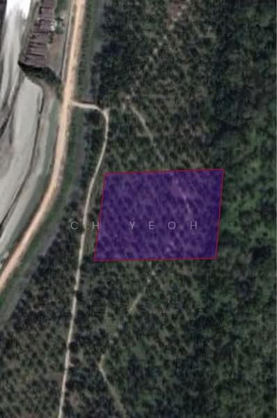 Tanah Pertanian untuk Disewa di Balik Pulau (Penang) - CH Yeoh - PropertyGuru.com.my