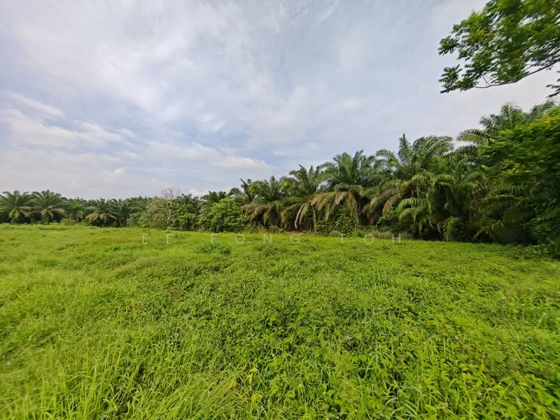 Agricultural Land for Sale in Kota Tinggi (Johor) - Ee Fong Toh - Exterior - PropertyGuru.com.my