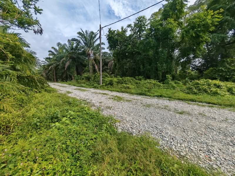 Agricultural Land for Sale in Kota Tinggi (Johor) - Ee Fong Toh - Exterior - PropertyGuru.com.my