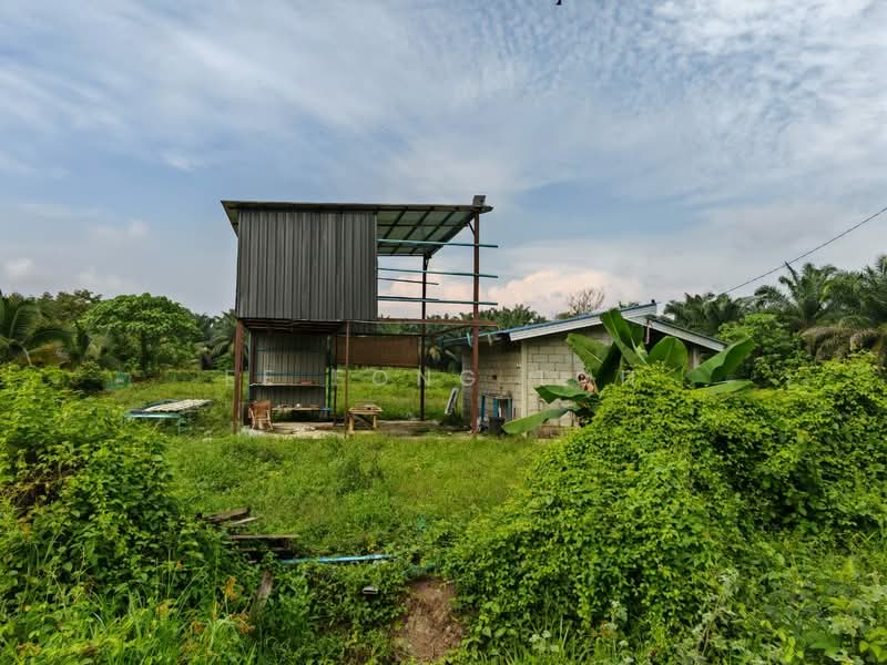 Agricultural Land for Sale in Kota Tinggi (Johor) - Ee Fong Toh - Exterior - PropertyGuru.com.my