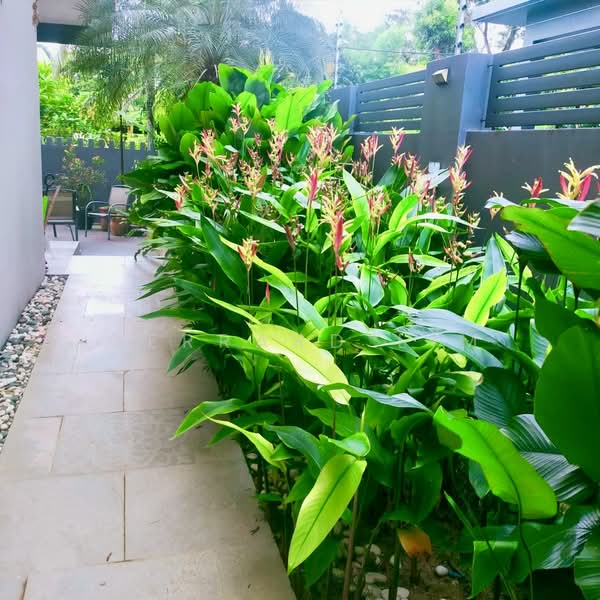 Bungalow for Sale in Usj 3 (Subang Jaya) - Gerrard Lim - PropertyGuru.com.my
