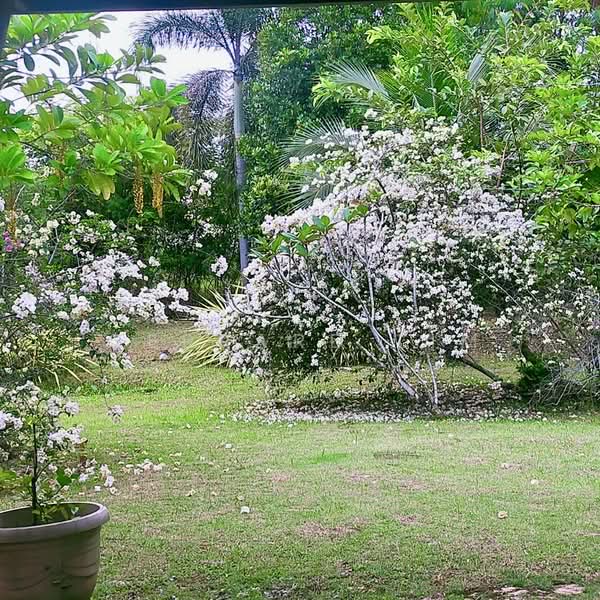 Bungalow for Sale in Usj 3 (Subang Jaya) - Gerrard Lim - PropertyGuru.com.my