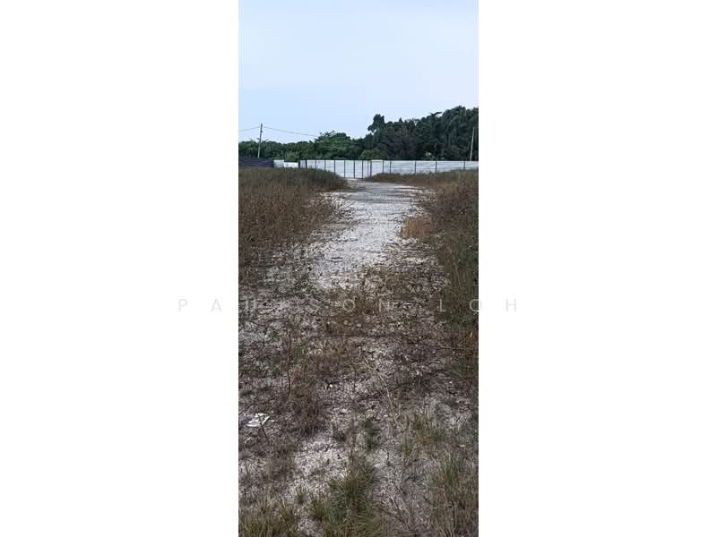 Agricultural Land for Rent in Kampung Sijangkang (Telok Panglima Garang) - Paulson Loh - PropertyGuru.com.my