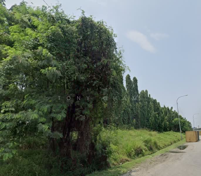 Tanah Perindustrian untuk Dijual di Pulau Indah (Klang) - Tony Cham - PropertyGuru.com.my