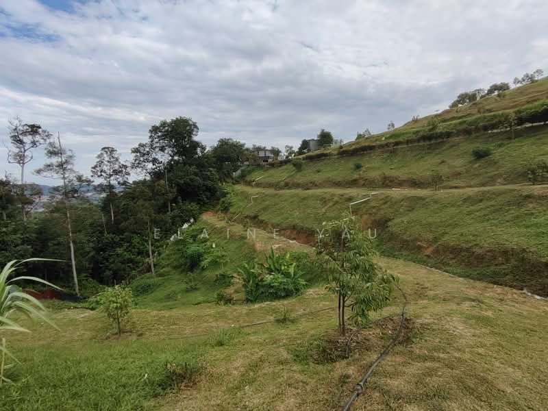 Tanah Pertanian untuk Dijual di Ulu Yam (Selangor) - Elaine Yau - PropertyGuru.com.my