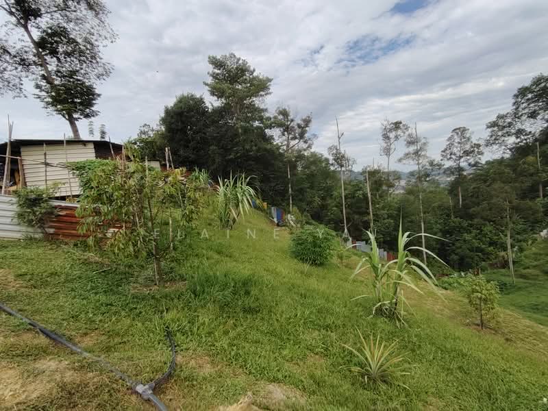 Tanah Pertanian untuk Dijual di Ulu Yam (Selangor) - Elaine Yau - PropertyGuru.com.my
