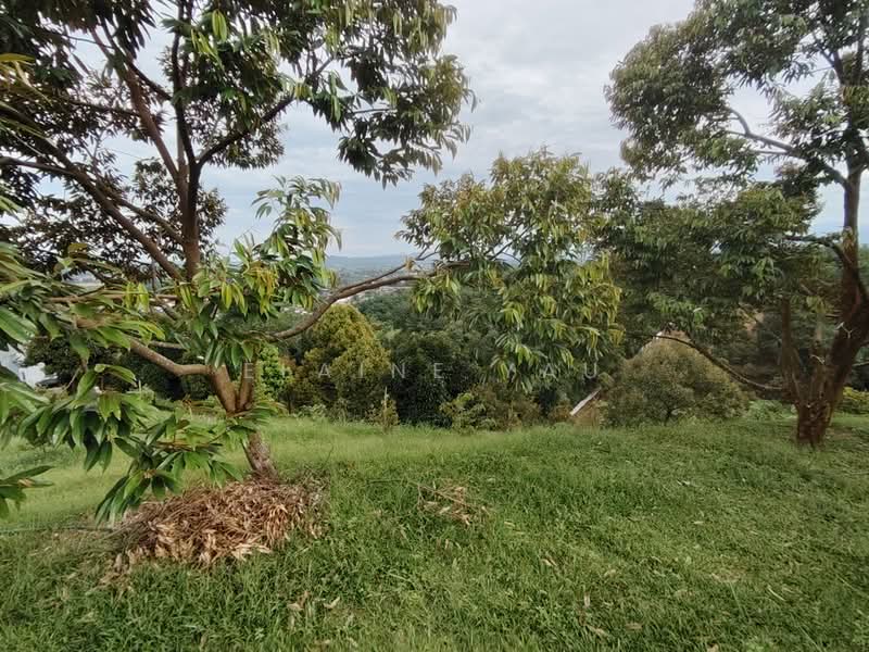 Tanah Pertanian untuk Dijual di Ulu Yam (Selangor) - Elaine Yau - PropertyGuru.com.my