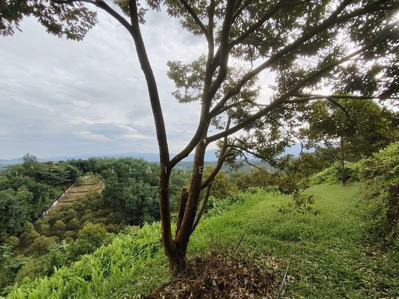 Tanah Pertanian untuk Dijual di Ulu Yam (Selangor) - Elaine Yau - PropertyGuru.com.my