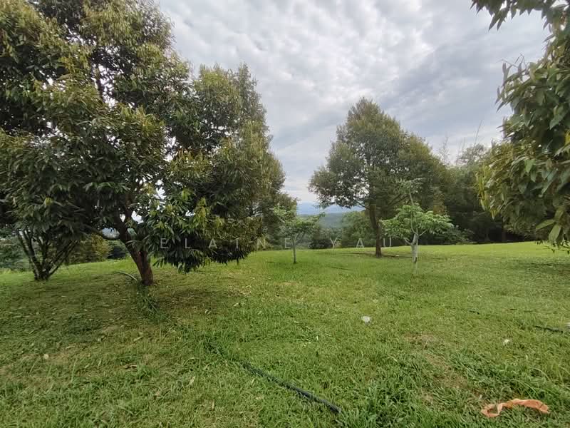 Tanah Pertanian untuk Dijual di Ulu Yam (Selangor) - Elaine Yau - PropertyGuru.com.my