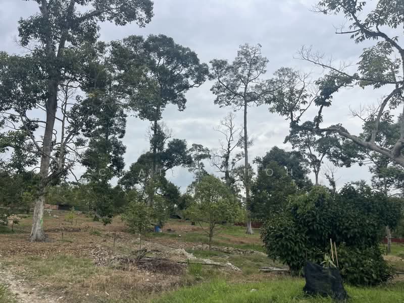 Tanah Pertanian untuk Dijual di Raub (Pahang) - Chatwin Poh - Exterior - PropertyGuru.com.my