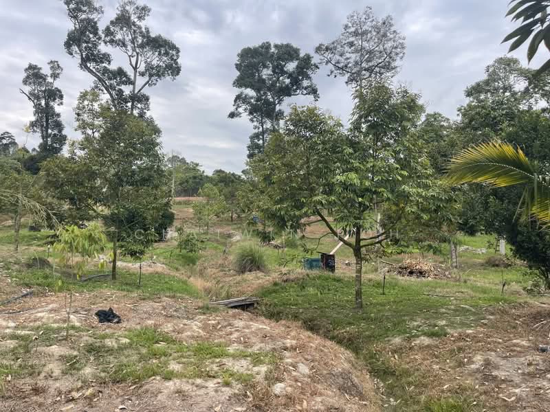 Tanah Pertanian untuk Dijual di Raub (Pahang) - Chatwin Poh - Garden - PropertyGuru.com.my