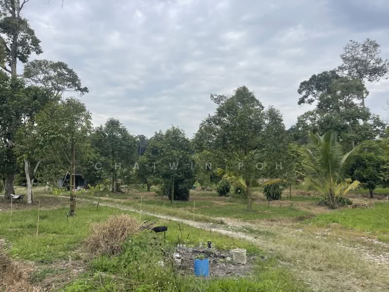 Tanah Pertanian untuk Dijual di Raub (Pahang) - Chatwin Poh - Garden - PropertyGuru.com.my