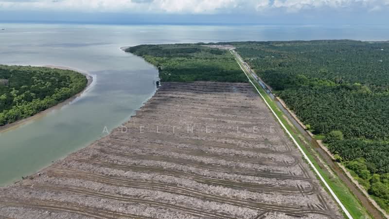 Industrial Land for Sale in Batu Pahat (Johor) - Adeline Lee - Site - PropertyGuru.com.my