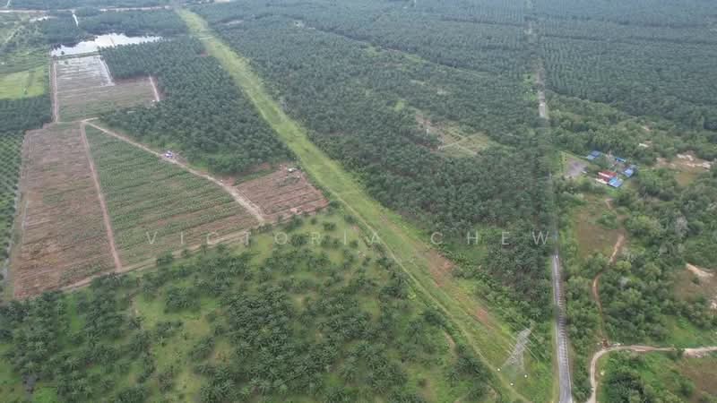 Agricultural Land for Rent in Telok Panglima Garang (Selangor) - Victoria Chew - Exterior - PropertyGuru.com.my