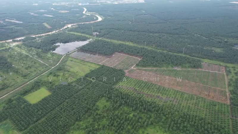 Agricultural Land for Rent in Telok Panglima Garang (Selangor) - Victoria Chew - PropertyGuru.com.my