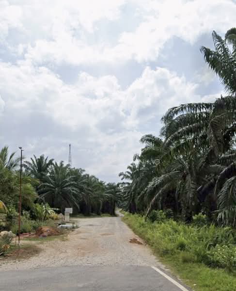 Tanah Pertanian untuk Dijual di Felda Sungai Tengi Selatan (Ulu Bernam) - June Ng - PropertyGuru.com.my
