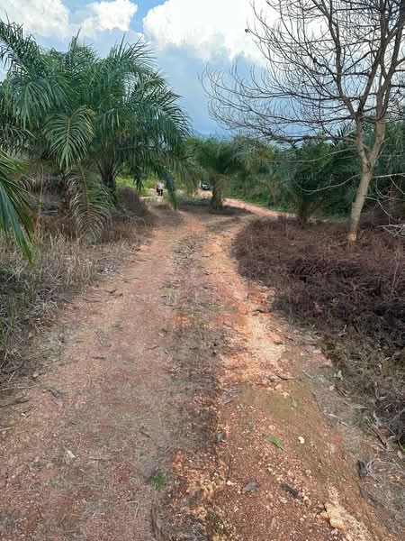 Tanah Pertanian untuk Dijual di Felda Sungai Tengi Selatan (Ulu Bernam) - June Ng - PropertyGuru.com.my