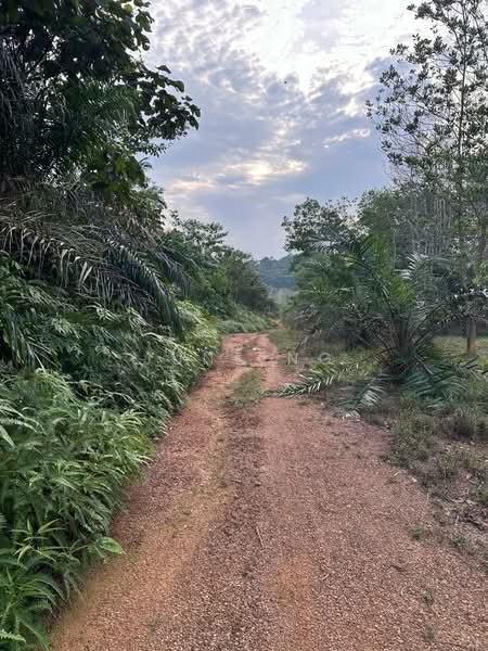 Tanah Pertanian untuk Dijual di Felda Sungai Tengi Selatan (Ulu Bernam) - June Ng - PropertyGuru.com.my