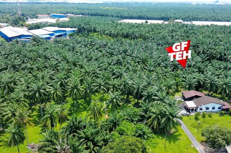 Tanah Perindustrian untuk Dijual di Sungai Jawi (Penang) - Teh Guan Fong - Exterior - PropertyGuru.com.my