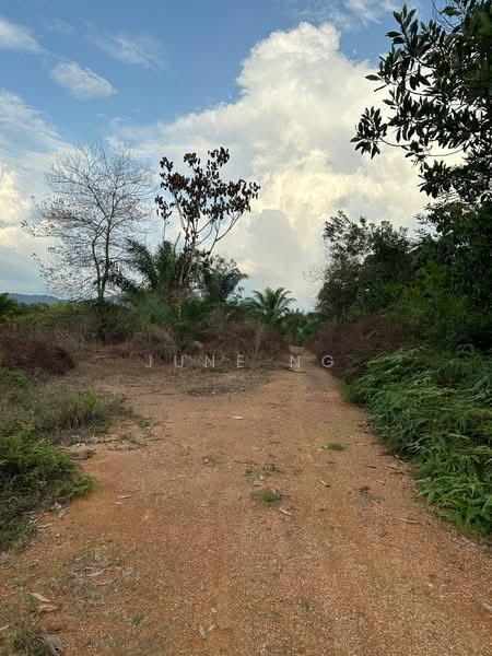 Tanah Pertanian untuk Dijual di Felda Sungai Tengi Selatan (Ulu Bernam) - June Ng - PropertyGuru.com.my