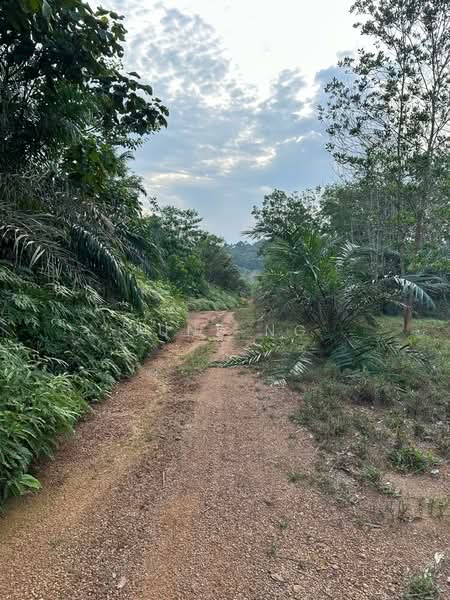 Tanah Pertanian untuk Dijual di Felda Sungai Tengi Selatan (Ulu Bernam) - June Ng - PropertyGuru.com.my