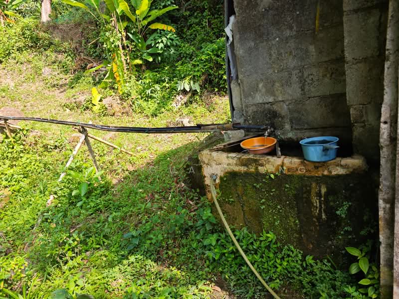 Tanah Pertanian untuk Dijual di Gelugor (Penang) - Teh Guan Fong - Exterior - PropertyGuru.com.my