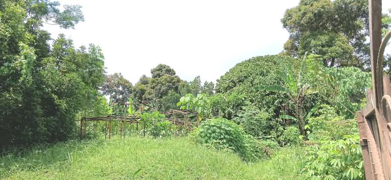 Residential Land for Sale in Seksyen 18 (Petaling Jaya) - Y.L. Yong - Exterior - PropertyGuru.com.my
