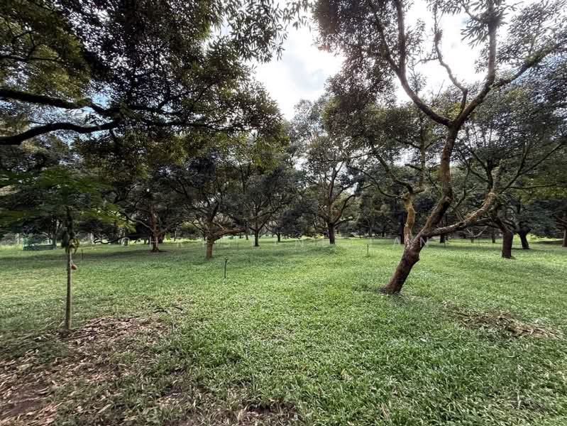 Tanah Pertanian untuk Dijual di Raub (Pahang) - Christine Tan - Garden - PropertyGuru.com.my
