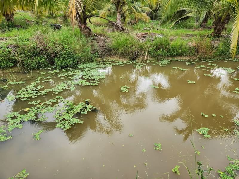 Agricultural Land for Sale in Nibong Tebal (Penang) - Teh Guan Fong - Garden - PropertyGuru.com.my