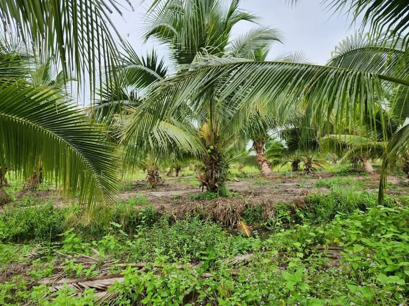 Agricultural Land for Sale in Nibong Tebal (Penang) - Teh Guan Fong - Garden - PropertyGuru.com.my