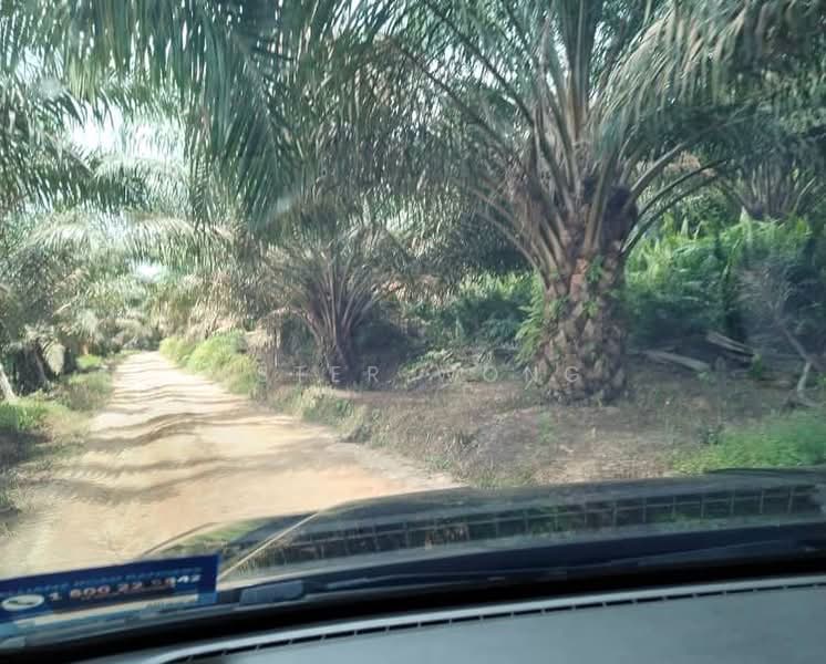 Tanah Pertanian untuk Dijual di Kluang (Johor) - Ester Wong - PropertyGuru.com.my