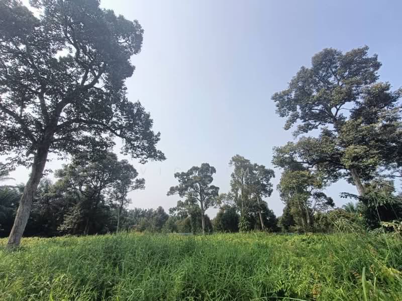 Tanah Pertanian untuk Dijual di Pontian (Johor) - Vic Lim - PropertyGuru.com.my