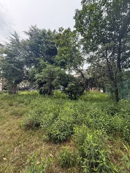 Bungalow for Sale in Jalan Klang Lama (Old Klang Road) (Kuala Lumpur) - Tina Chua - Garden - PropertyGuru.com.my