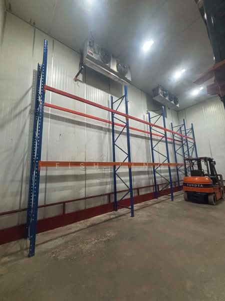 Warehouse for Rent in Bukit Tengah (Bukit Mertajam) - Fish Ling - Interior - PropertyGuru.com.my