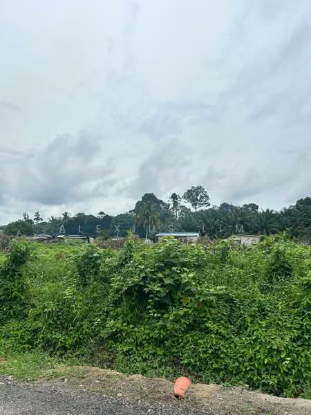 Residential Land for Sale in Kampung Baru Machap (Simpang Renggam) - Alexius Lim - Exterior - PropertyGuru.com.my