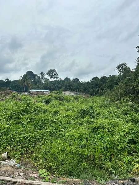 Residential Land for Sale in Kampung Baru Machap (Simpang Renggam) - Alexius Lim - Exterior - PropertyGuru.com.my